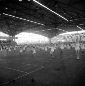 75-jarig bestaan Hilversumse Gymnastiek Vrije oefening jongens, Bestanddeelnr 912-6101