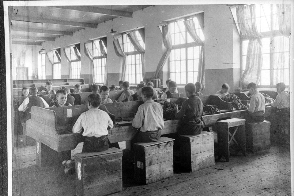 5x5 Jongens werkzaam in de sigarenindustrie, Bestanddeelnr 256-4974
