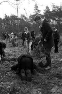5de Jaarlijkse Nationale Boomfeestdag te Bilthoven. Planten 600 kinderen bomen, Bestanddeelnr 912-2866