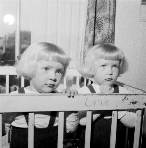 8 november siamese tweeling Folkje en Tjitske de Vries, Bestanddeelnr 907-4146