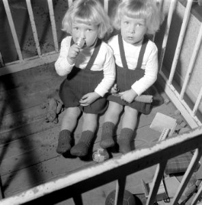 8 november siamese tweeling Folkje en Tjitske de Vries, Bestanddeelnr 907-4147