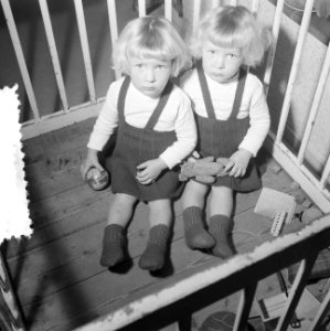 8 november siamese tweeling Folkje en Tjitske de Vries, Bestanddeelnr 934-5714