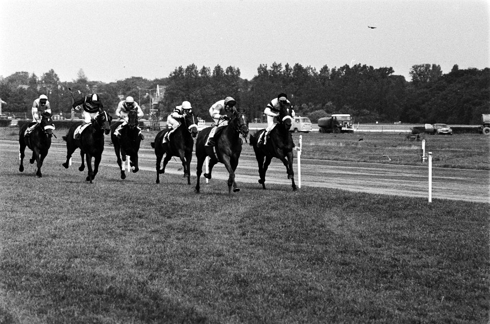 52ste Derby op Duindigt finish, 2e van rechts, winnaar Robinson met Notre Plais, Bestanddeelnr 930-9124