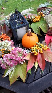 Colorful decoration colorful leaves