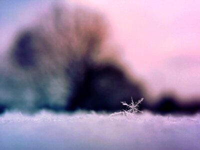 Ice snow winter