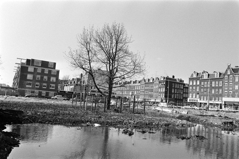 50 jaar oude kastanjeboom eenzaam op braakliggend terrein langs de Kinkerstraat, Bestanddeelnr 933-2915