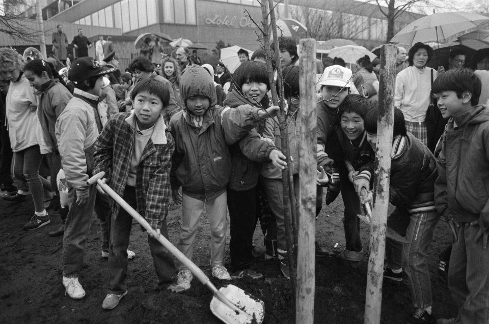 50 Japanse kersenbomen geplant door Japanse en Nederlandse kinderen op Nationale, Bestanddeelnr 933-9328