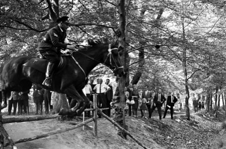 50 jaar bestaan bereden brigade Haagse politie, deelnemers tijdens nemen hindern, Bestanddeelnr 916-4883