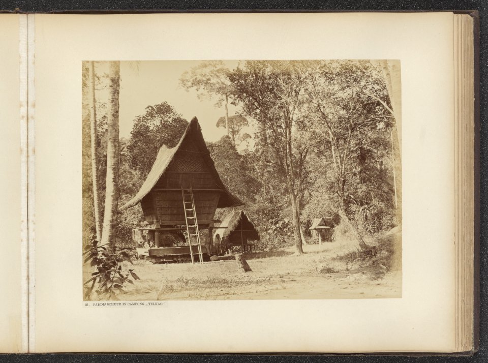21. Paddij schuur in Campong Telkao, Bestanddeelnr 851 17