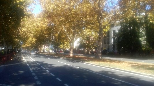 Bulevar Oslobodjenja, Beograd(04)