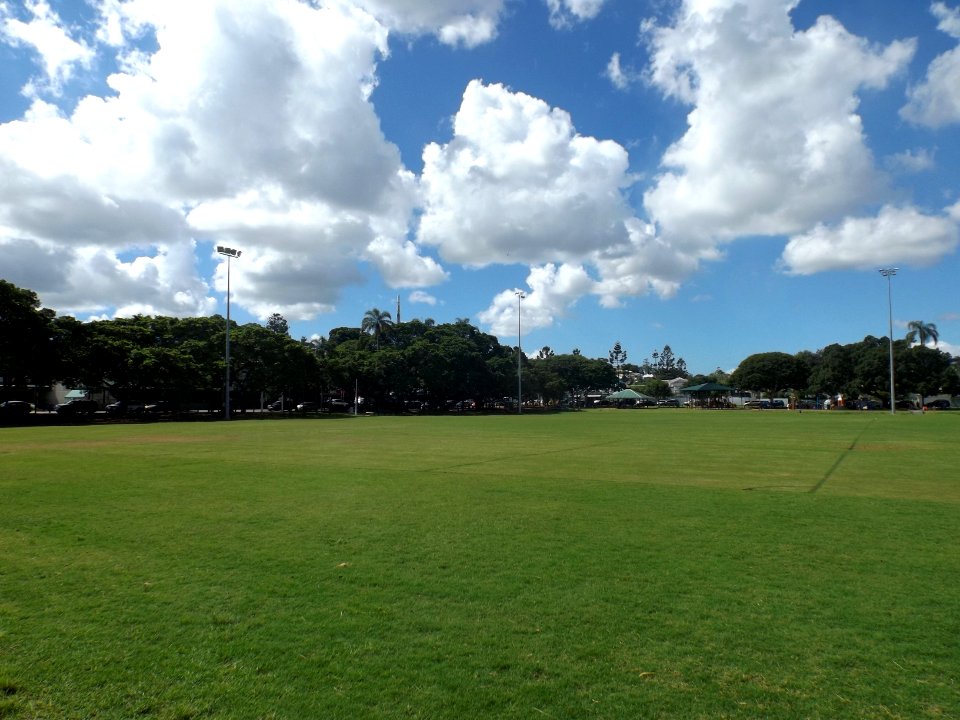 Bulimba Memorial Park field
