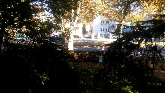 Bulevar Oslobodjenja, Beograd(09)