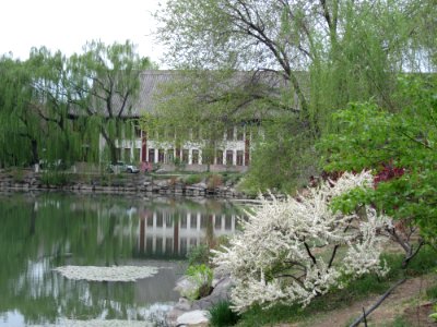 Building, Peking University, 2011042205