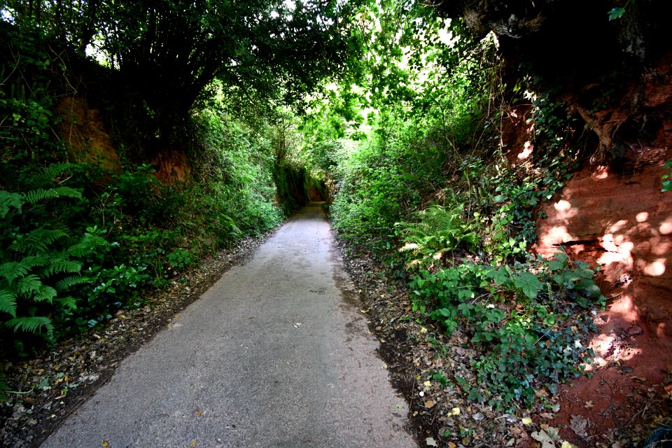 Budleigh Salterton 2020-06-24 4