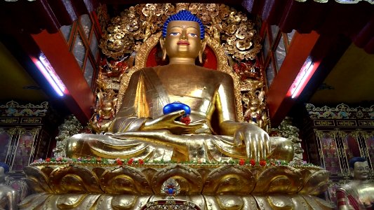 Buddha Statue in Ralong Monastery Sikkim