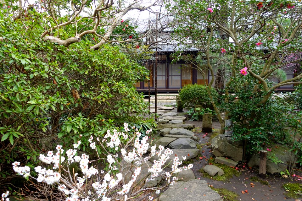 Building - Hokai-ji - Kamakura, Kanagawa, Japan - DSC08453