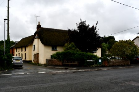 Budleigh Salterton (2020-08-16) 11