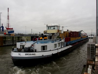 Erculano (ship, 1973) ENI 02313803 Van Cauwelaertsluis Port of Antwerp pic1