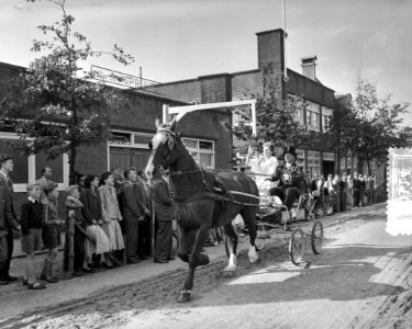 Enkhuizer ringrijderij ( 50 jaar ) in Westfriese kostuums, Bestanddeelnr 908-0114 photo