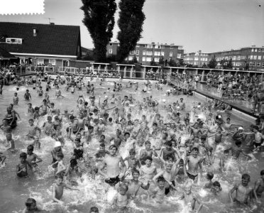 Enorme drukte in de Amsterdamse openluchtzwembaden, Bestanddeelnr 910-6191 photo
