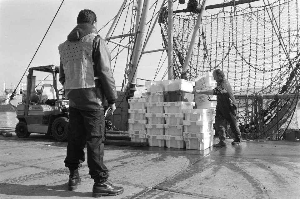Enige honderden leden Mobiele Eenheid assisteren controleurs AID bij aanvoer vis, Bestanddeelnr 934-3391