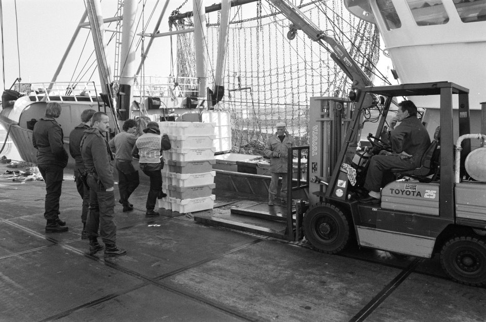 Enige honderden leden Mobiele Eenheid assisteren controleurs AID bij aanvoer vis, Bestanddeelnr 934-3396