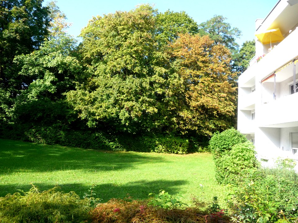 Englschalkinger Strasse 06