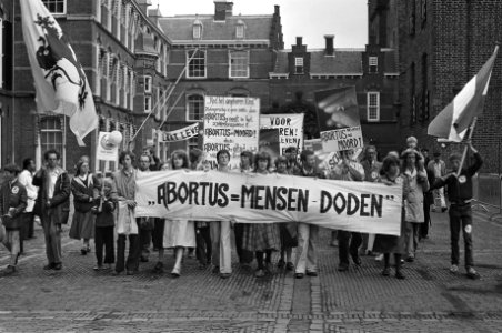 Enkele demonstranten, Bestanddeelnr 930-9887