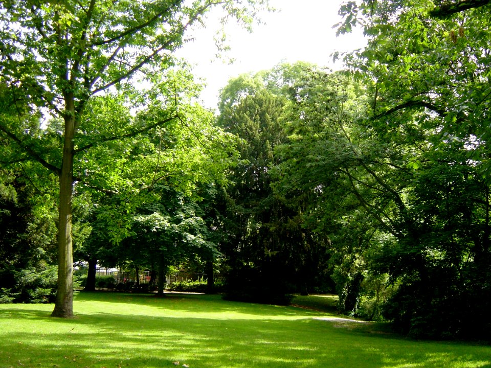 Frankfurt Bockenheim Bernus-Park 13