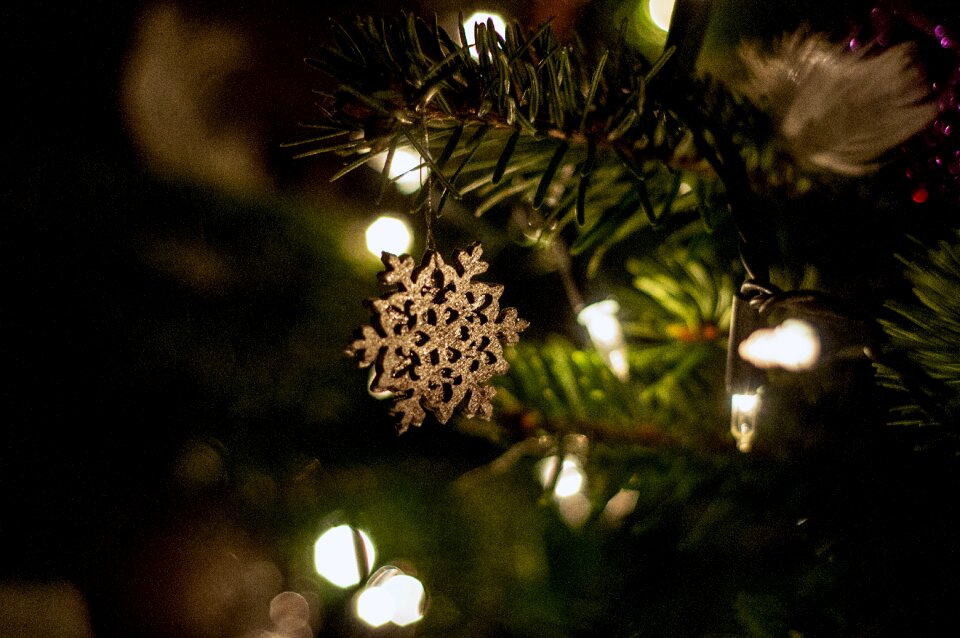 Ornaments decorations festive
