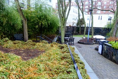 Franklin Street Park - Cambridge, MA - DSC07830