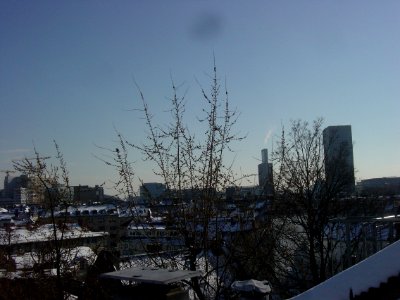 Frankfurt Über den Dächern von Bockenheim11