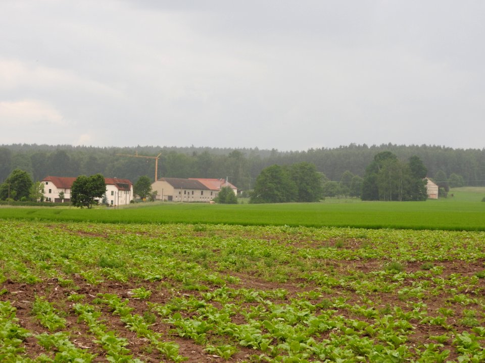 Geroda 04