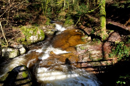 Geroldsau Waterfall 2020-03-13 01