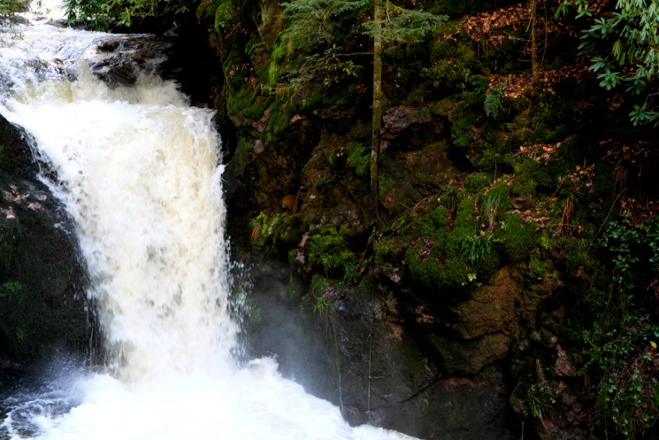Geroldsau Waterfall 2020-03-13 53