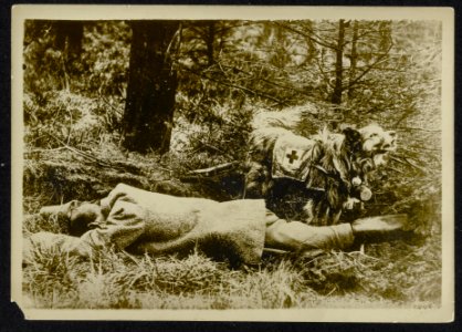 Gesneuvelde militair met hospitaalhond, Bestanddeelnr 158-0602