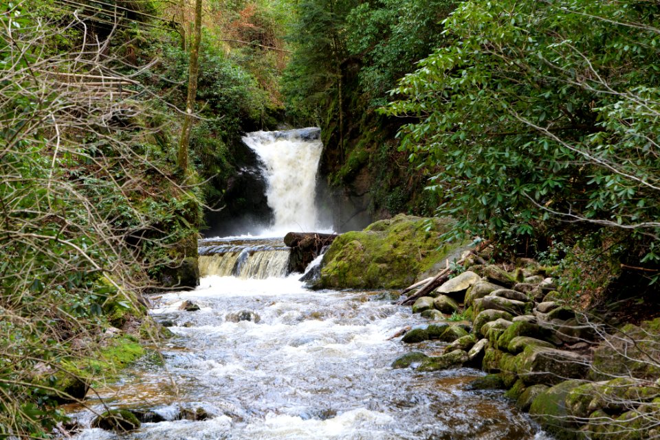 Geroldsau Waterfall 2020-03-13 65