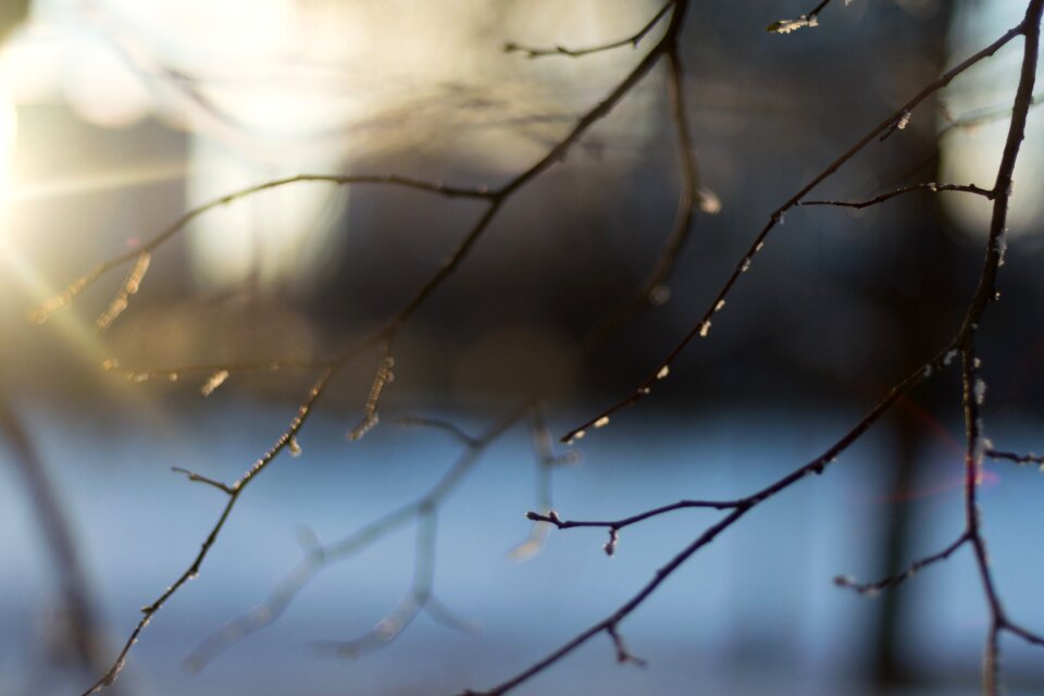 Winter sunset light