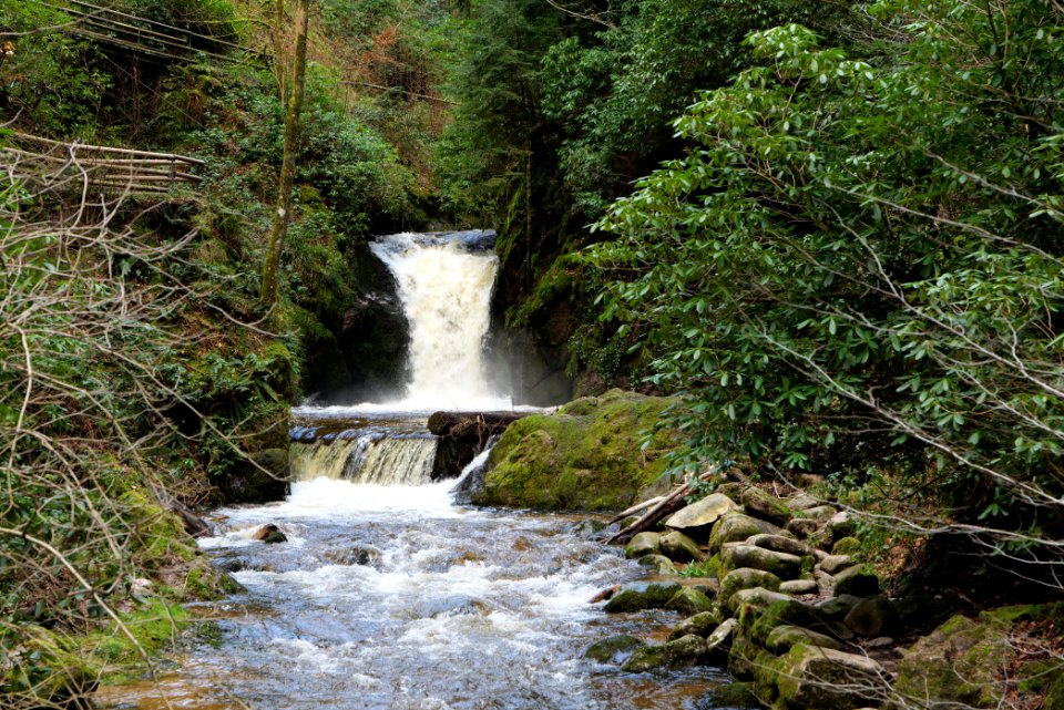 Geroldsau Waterfall 2020-03-13 56
