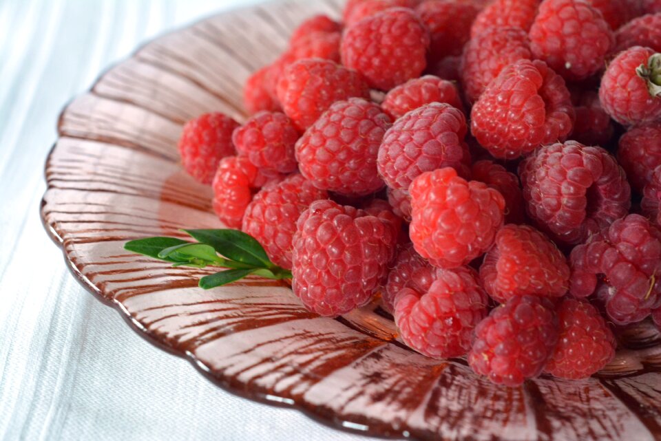 Fruit garden sweet