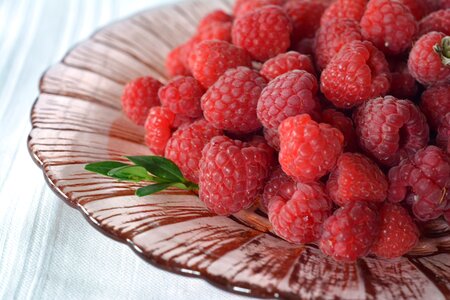 Fruit garden sweet