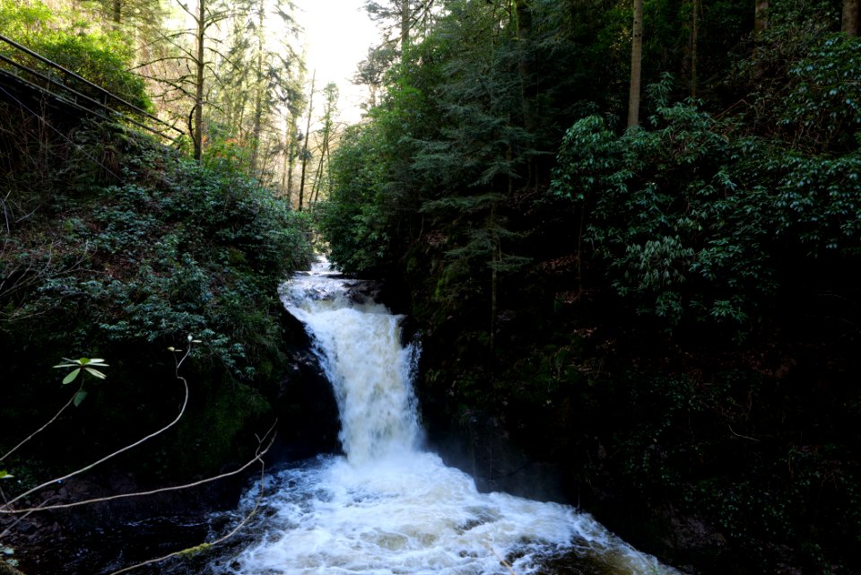 Geroldsau Waterfall 2020-03-13 19