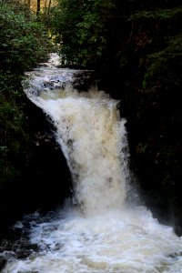 Geroldsau Waterfall 2020-03-13 50