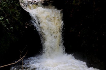 Geroldsau Waterfall 2020-03-13 26