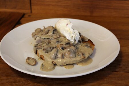 Mushrooms cream sauce poached eggs
