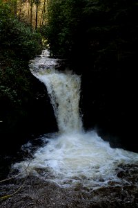 Geroldsau Waterfall 2020-03-13 38