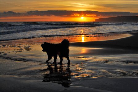 Water dusk dawn
