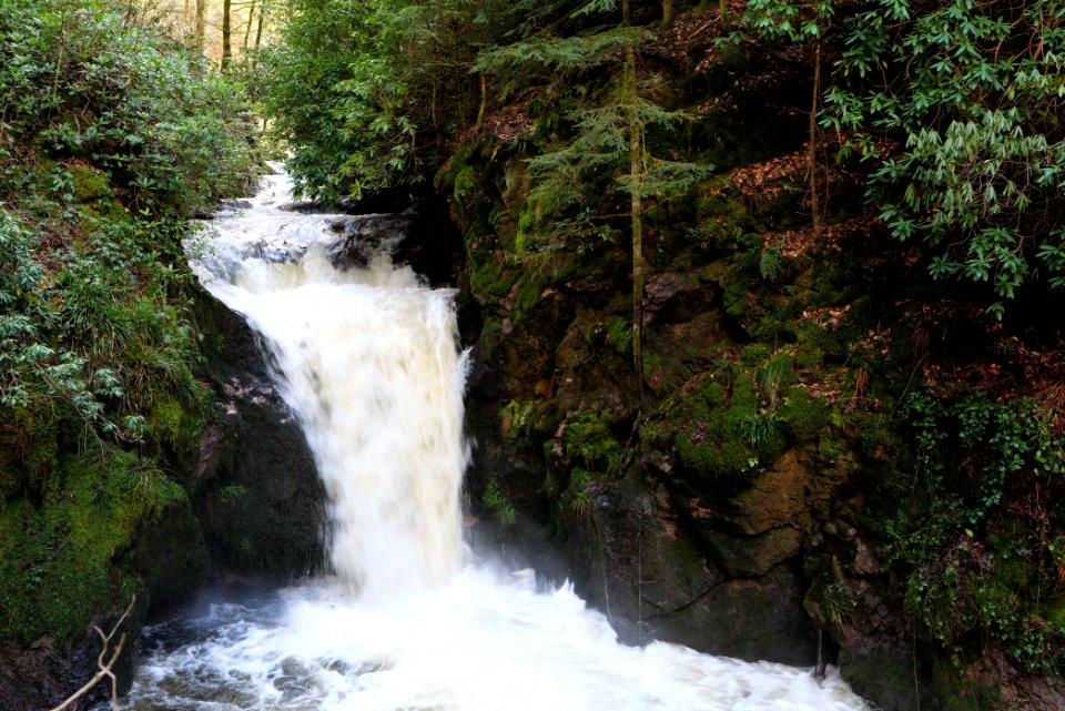 Geroldsau Waterfall 2020-03-13 49
