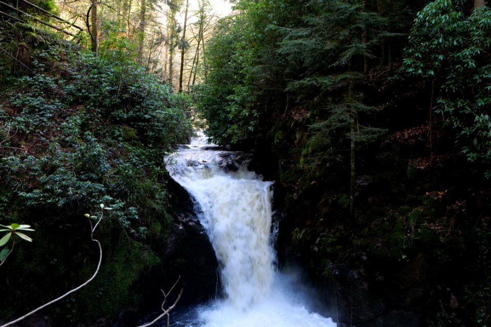 Geroldsau Waterfall 2020-03-13 30