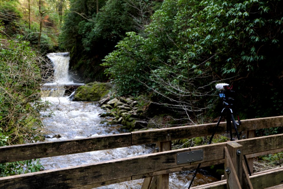 Geroldsau Waterfall 2020-03-13 71